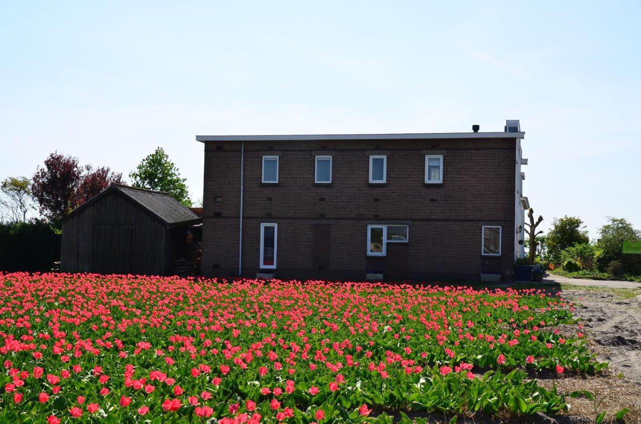 Wellness Bed & Breakfast Pergamo Voorhout Εξωτερικό φωτογραφία
